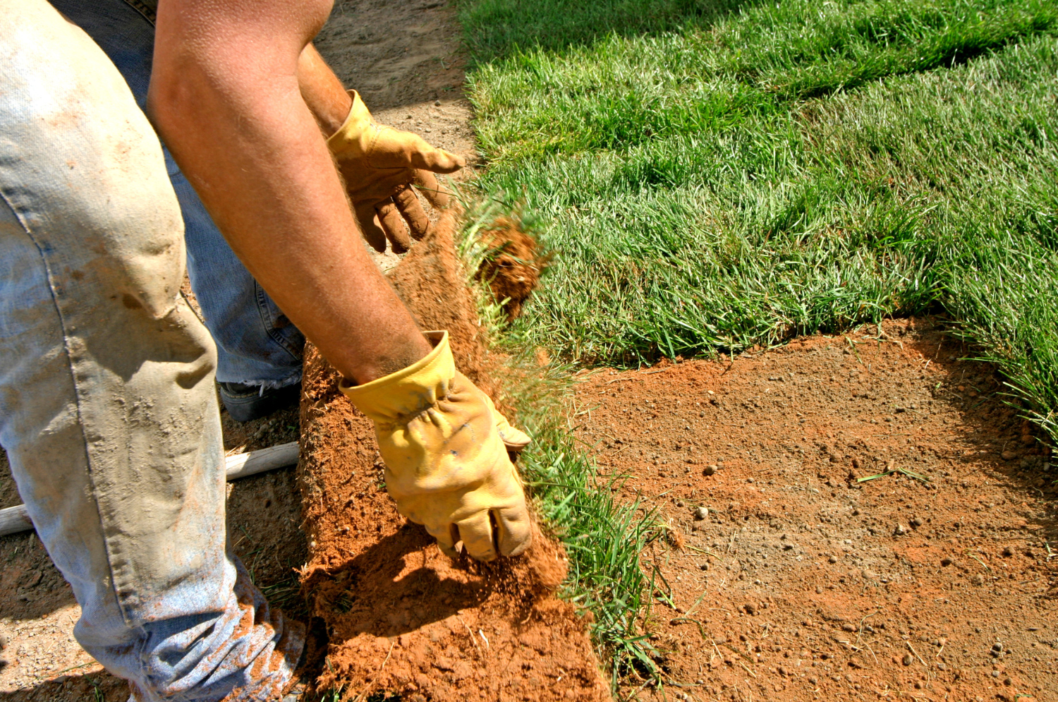 G&E Landscaping